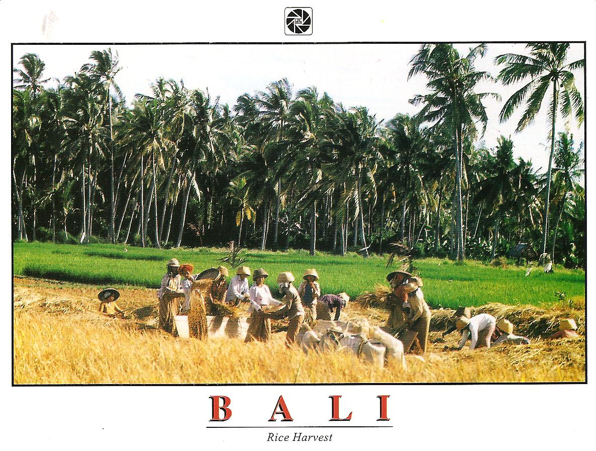 [BALI+march+309+004.jpg]