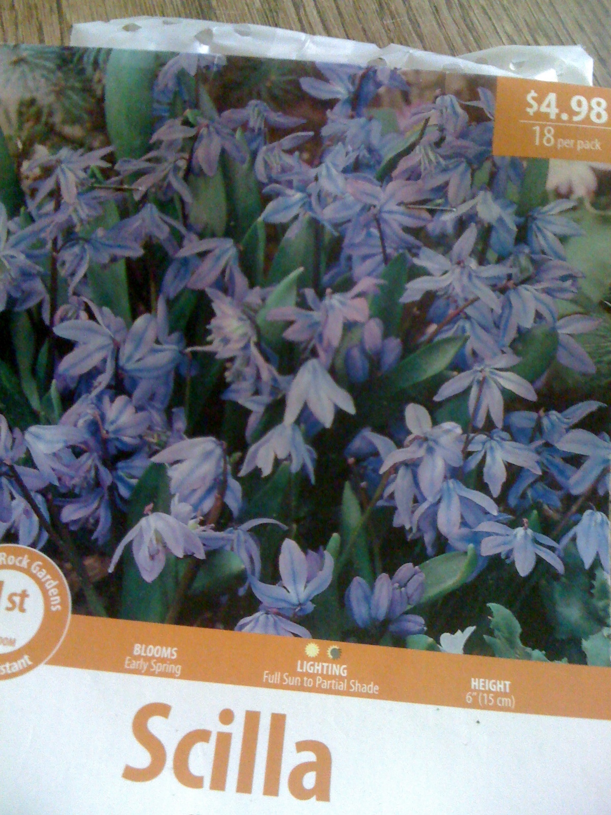 Geno's Garden Design & Coaching Last Call FallPlanted Bulbs