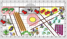 Garden Plan