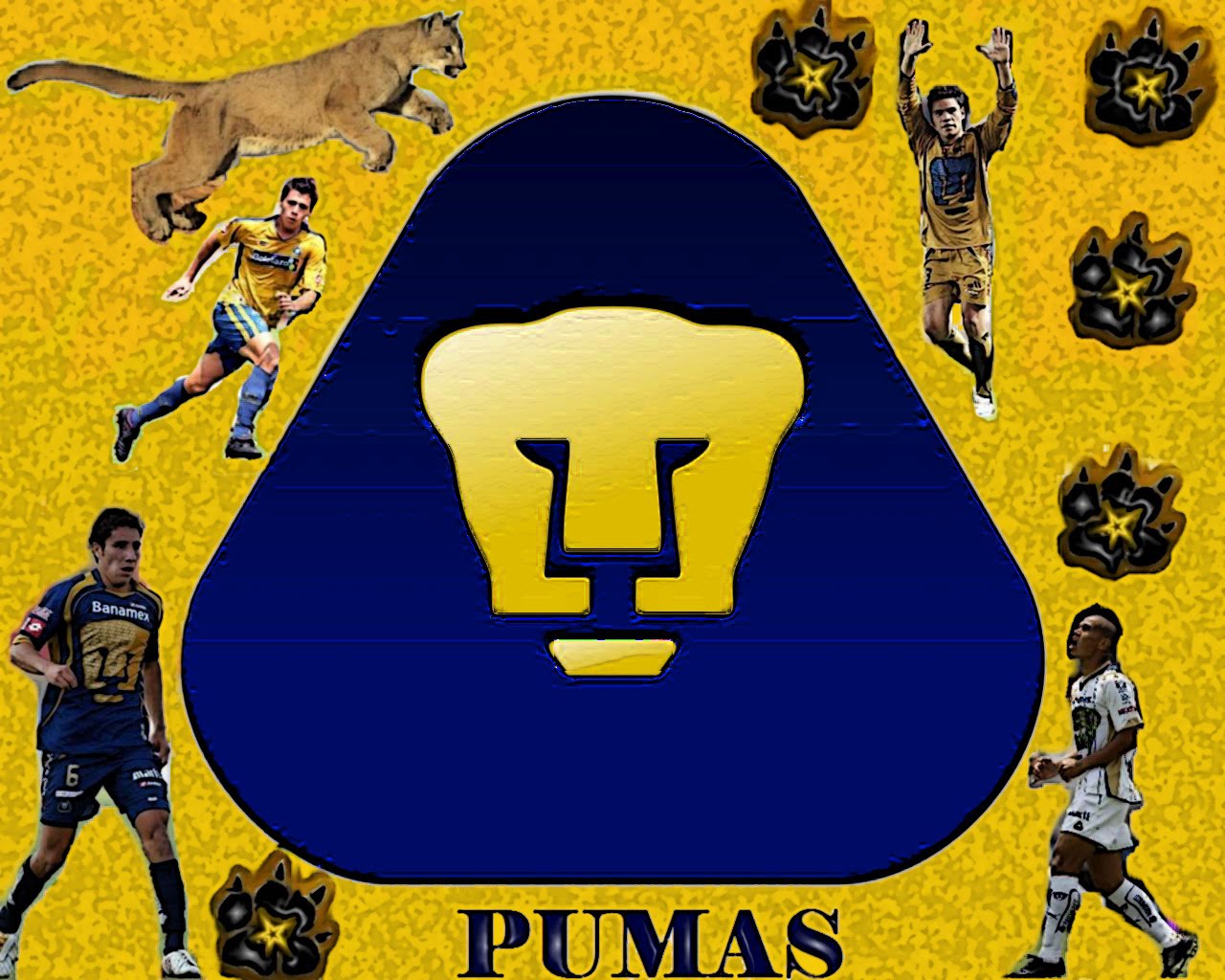 Top 100 Imagen Pumas Fondo De Pantalla Vn