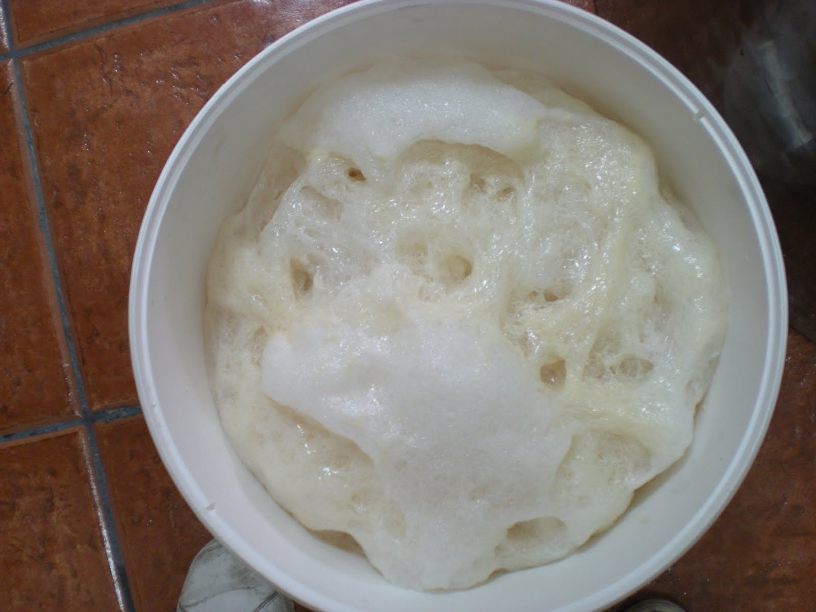 EL VINODESENTIDOS FASES DEL PIE DE CUBA PARA ELABORACIÓN DE CERVEZAS