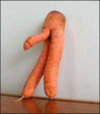 [carrot-penis4.]