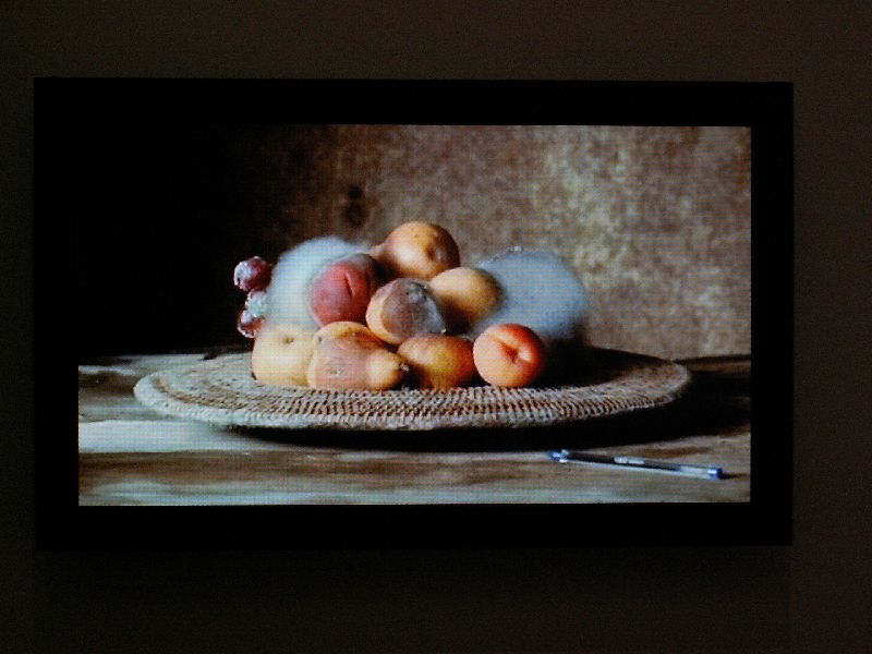 Shannon McGill Senior Portfolio: Artist-Sam Taylor Wood