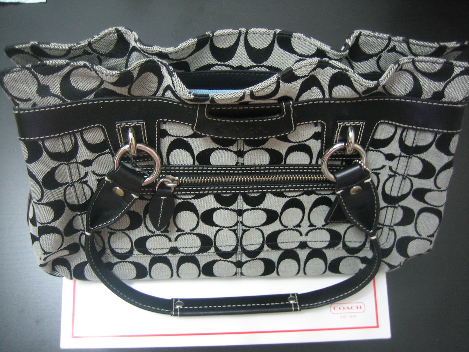 Accessories Online (SG) COACH Bag (F14696)