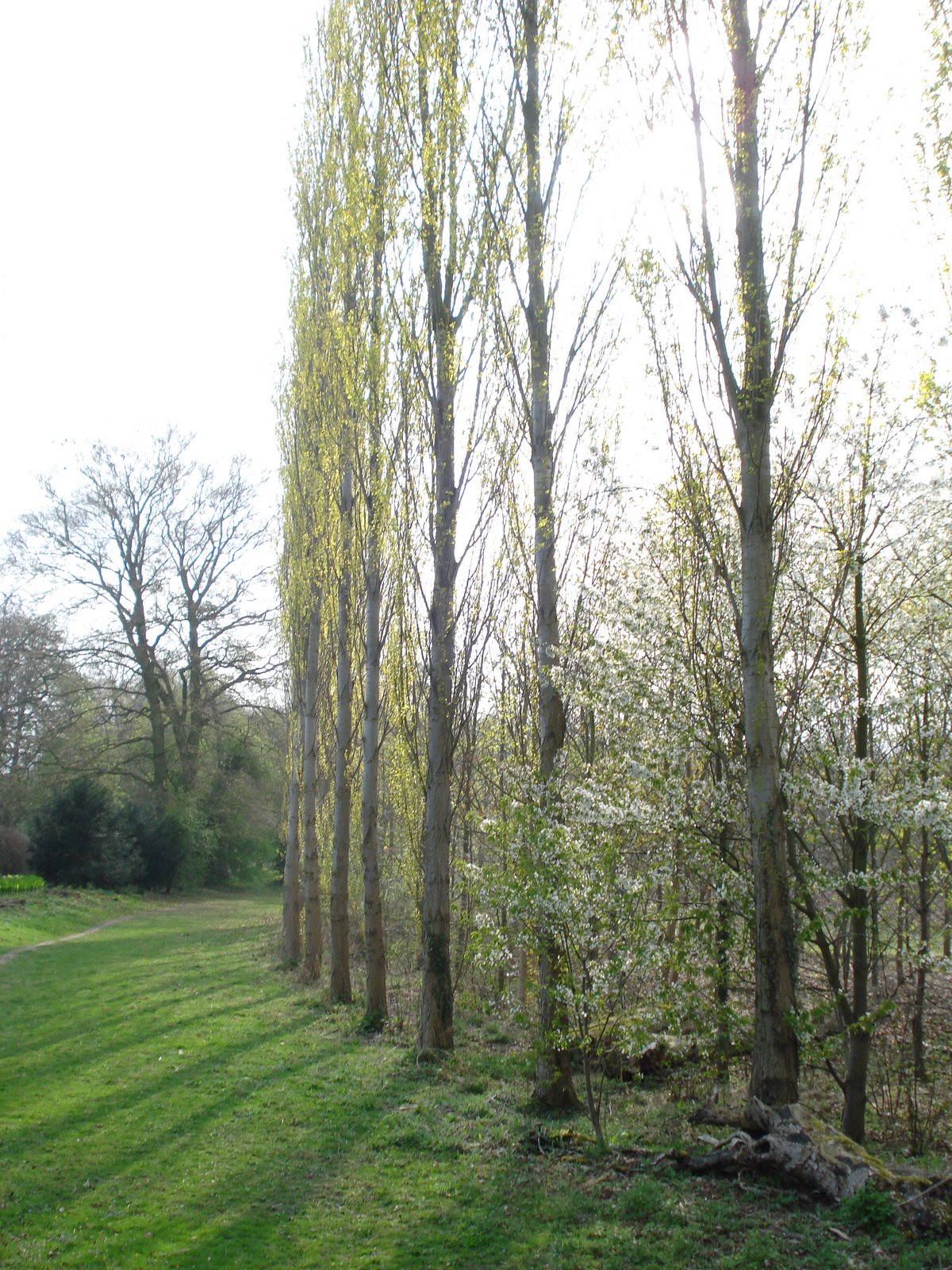 [Cambridge+walks+009.jpg]