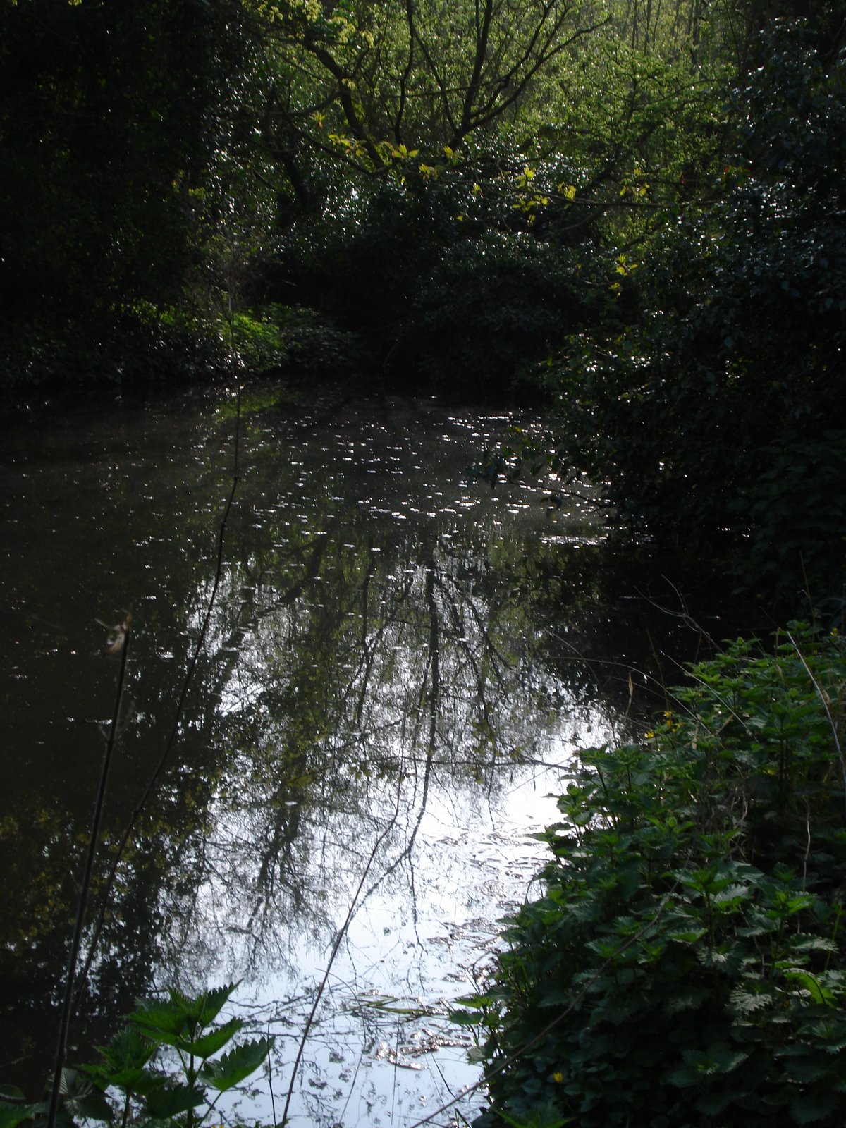 [Cambridge+walks+014.jpg]