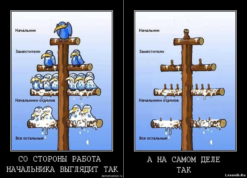 Иерархия планеты плюк последовательность картинок