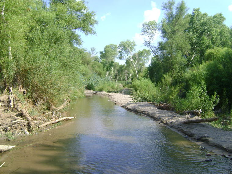 El Río Sonora