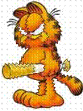 [garfield_enfadado.gif]