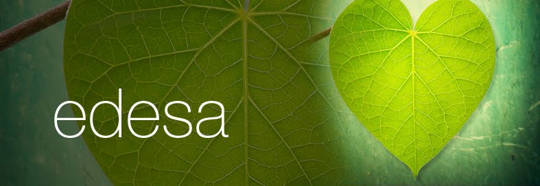edesa
