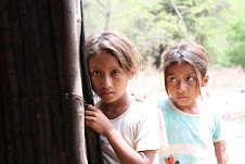 Become a TEAM member!