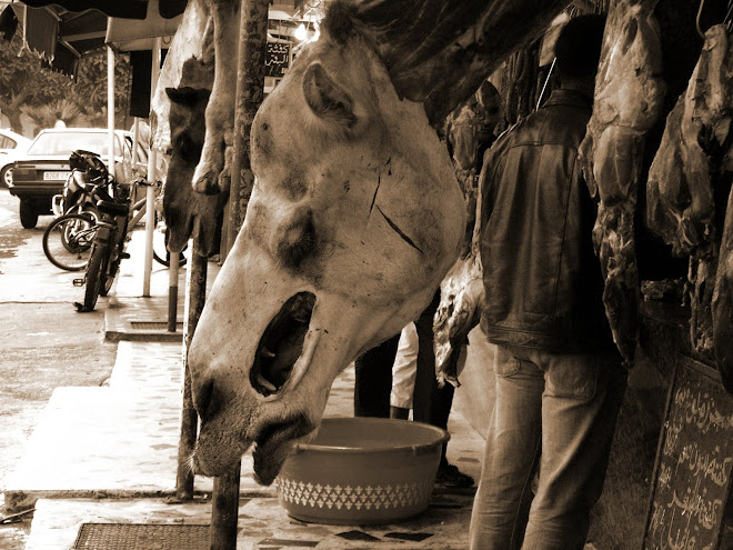 Mercado del camello.marruecos 07