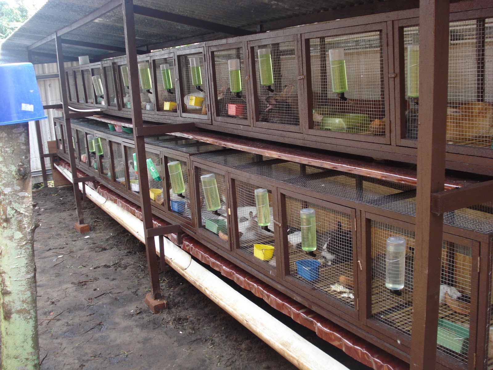 HERO PET MART My new rabbit cage.