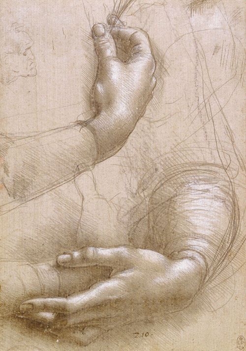 Third Year Project Leonardo Da Vinci Drawings