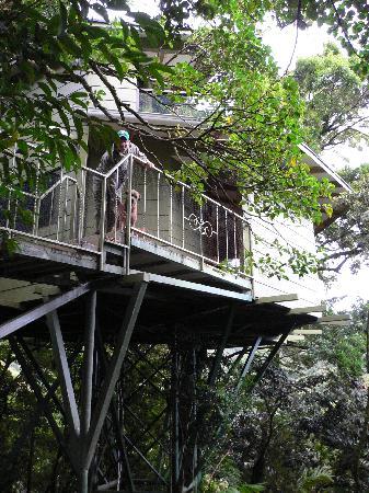 What Am I Doing?: Hidden Canopy Treehouses Boutique Hotel