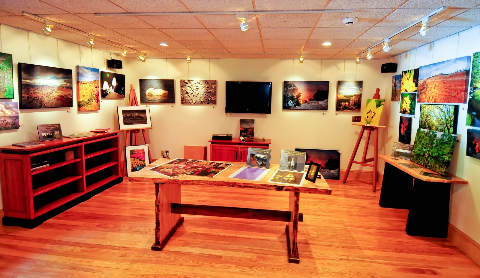 Bergs Canvas Gallery