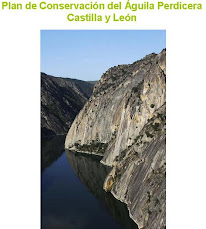 Plan de Conservación del águila perdicera en Castilla y León. 2010