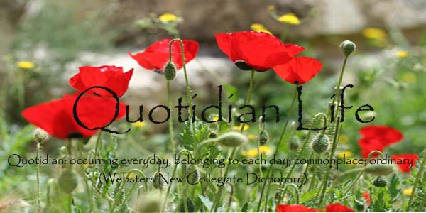 Quotidian Life