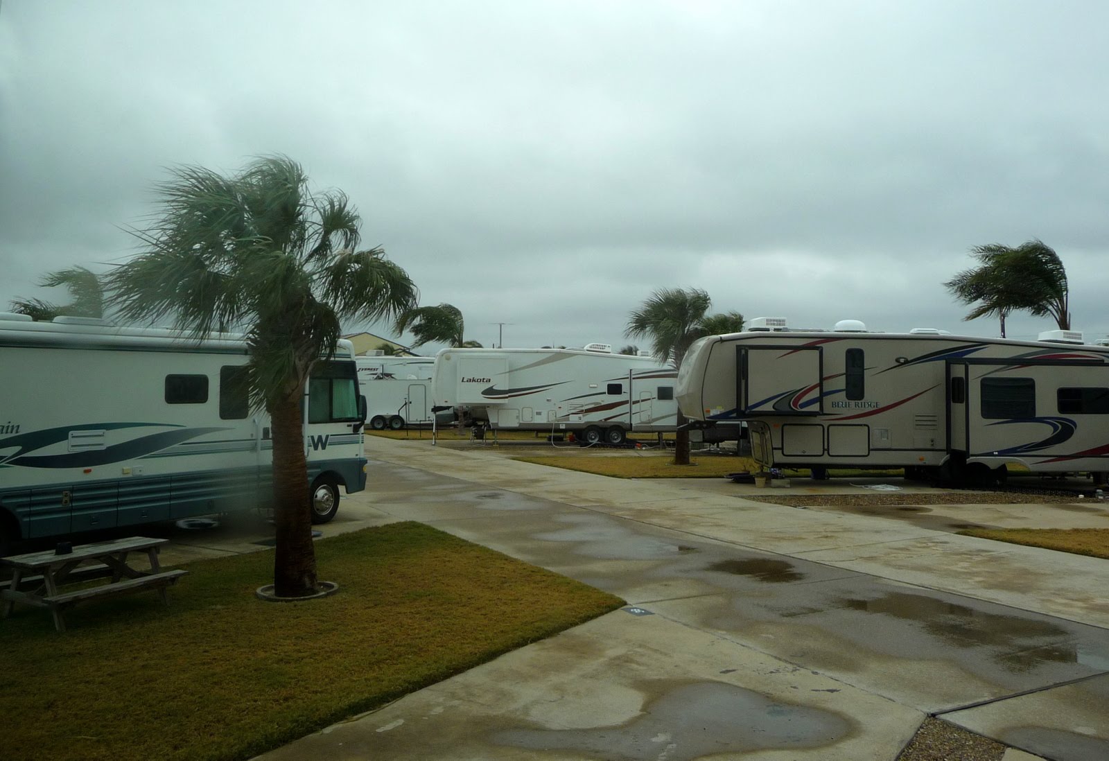 IN THE WIND Adventures of... Mary Ann and William Bent Palm Trees