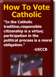 [how_to_vote_catholic_feature_r1_c1.gif]