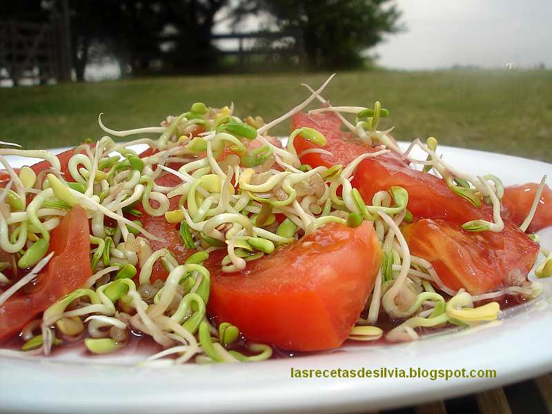 Las recetas de Silvia: Como hacer ensaladas con germinados