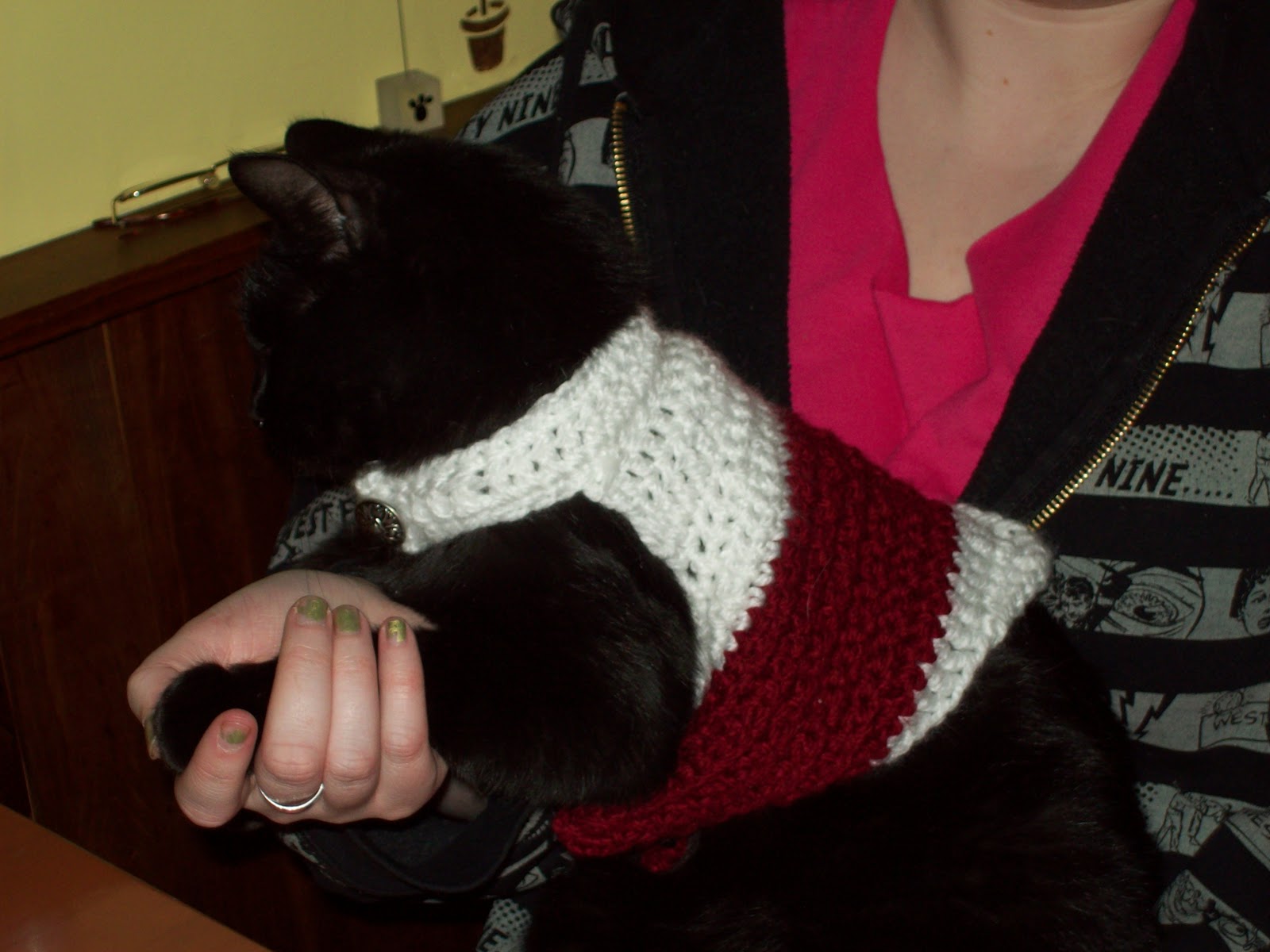 MoodyBlueFAMILY Cat Coats