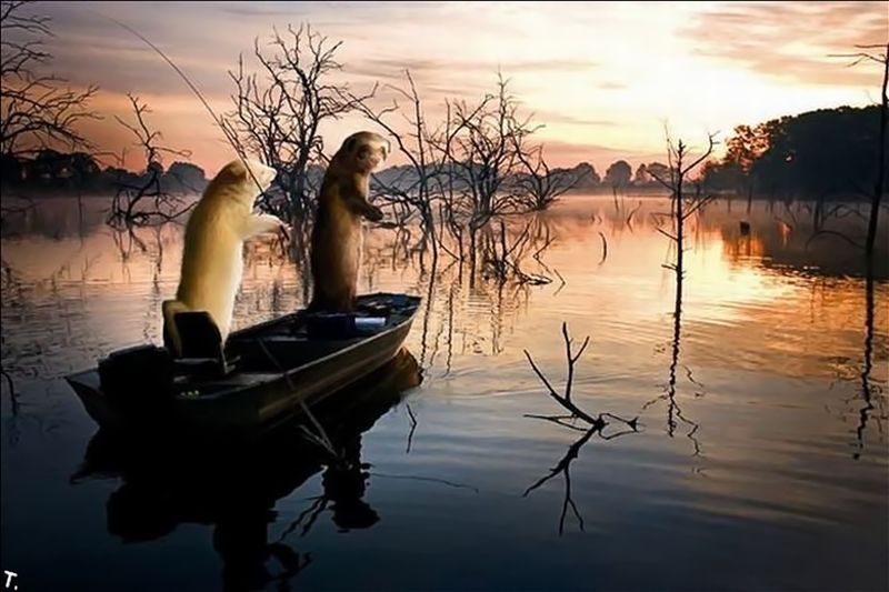 С добрым утром рыбаки картинки прикольные