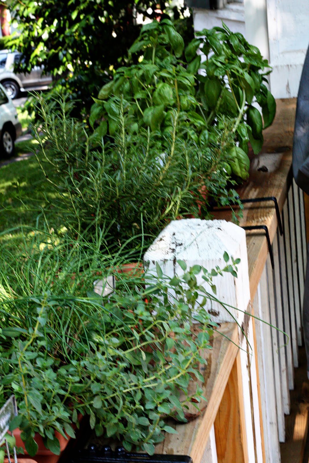Greener Grass Handmade- Blog: Window Box Herb Garden and Basil Pasta