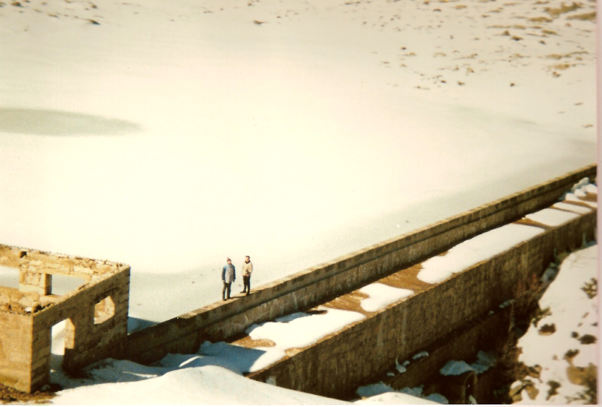 [Carris+23Fev91+01.jpg]