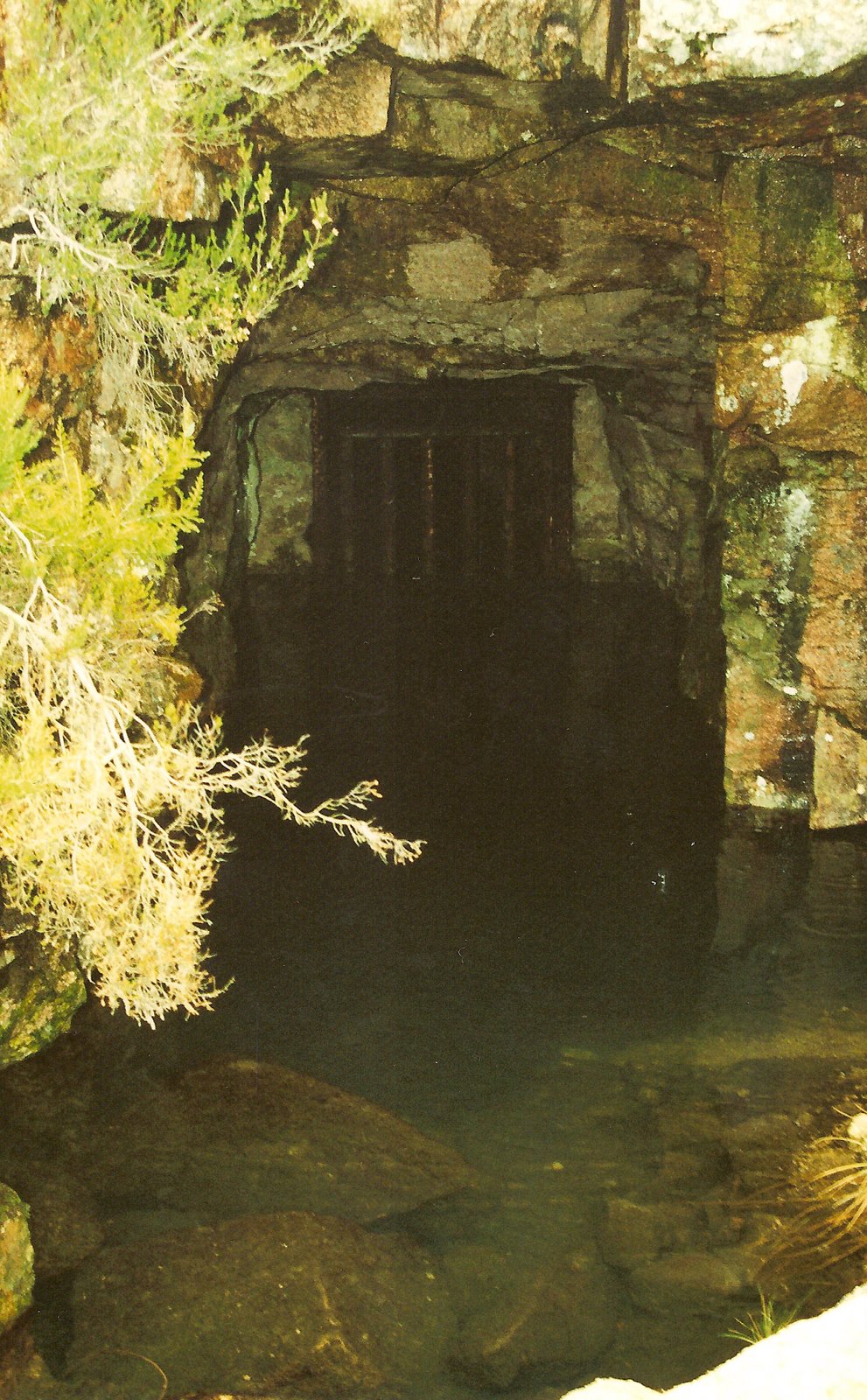 [Carris+11-02-02+01.jpg]