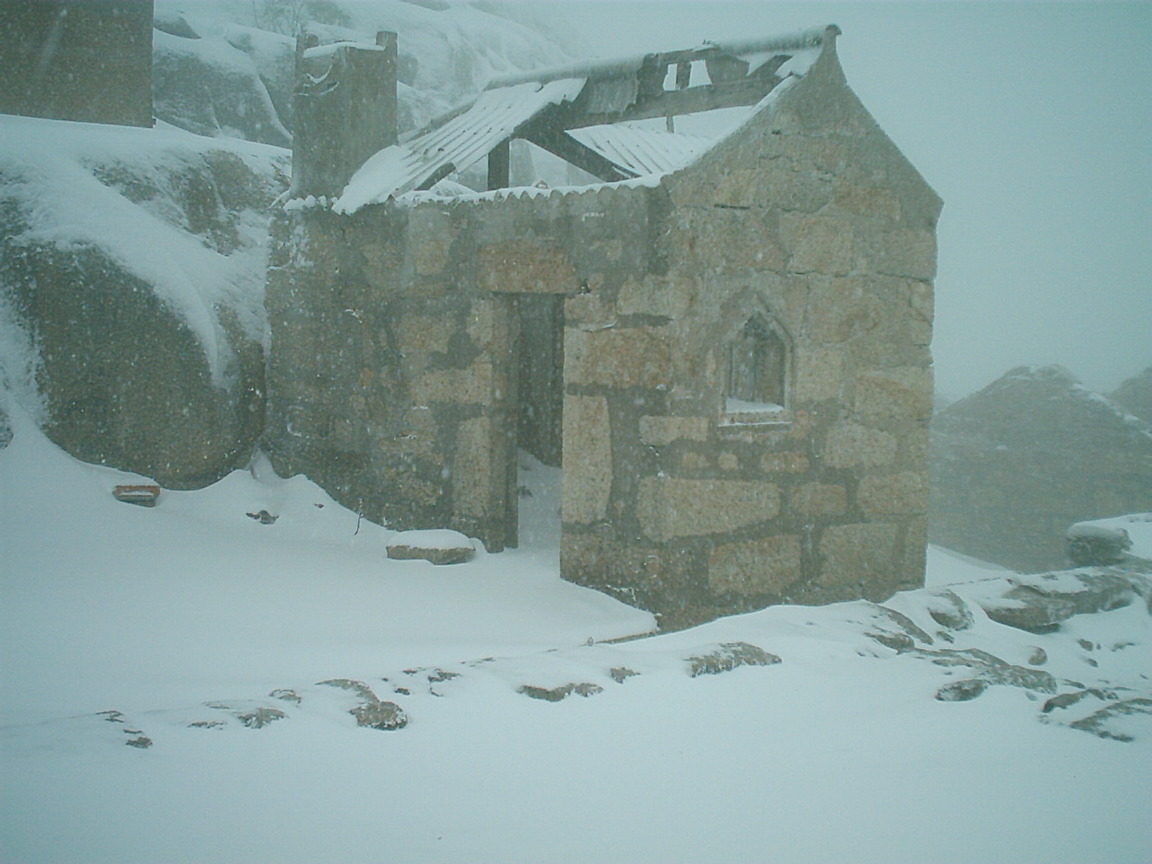 [2003-11-03+22-07-11.JPG]