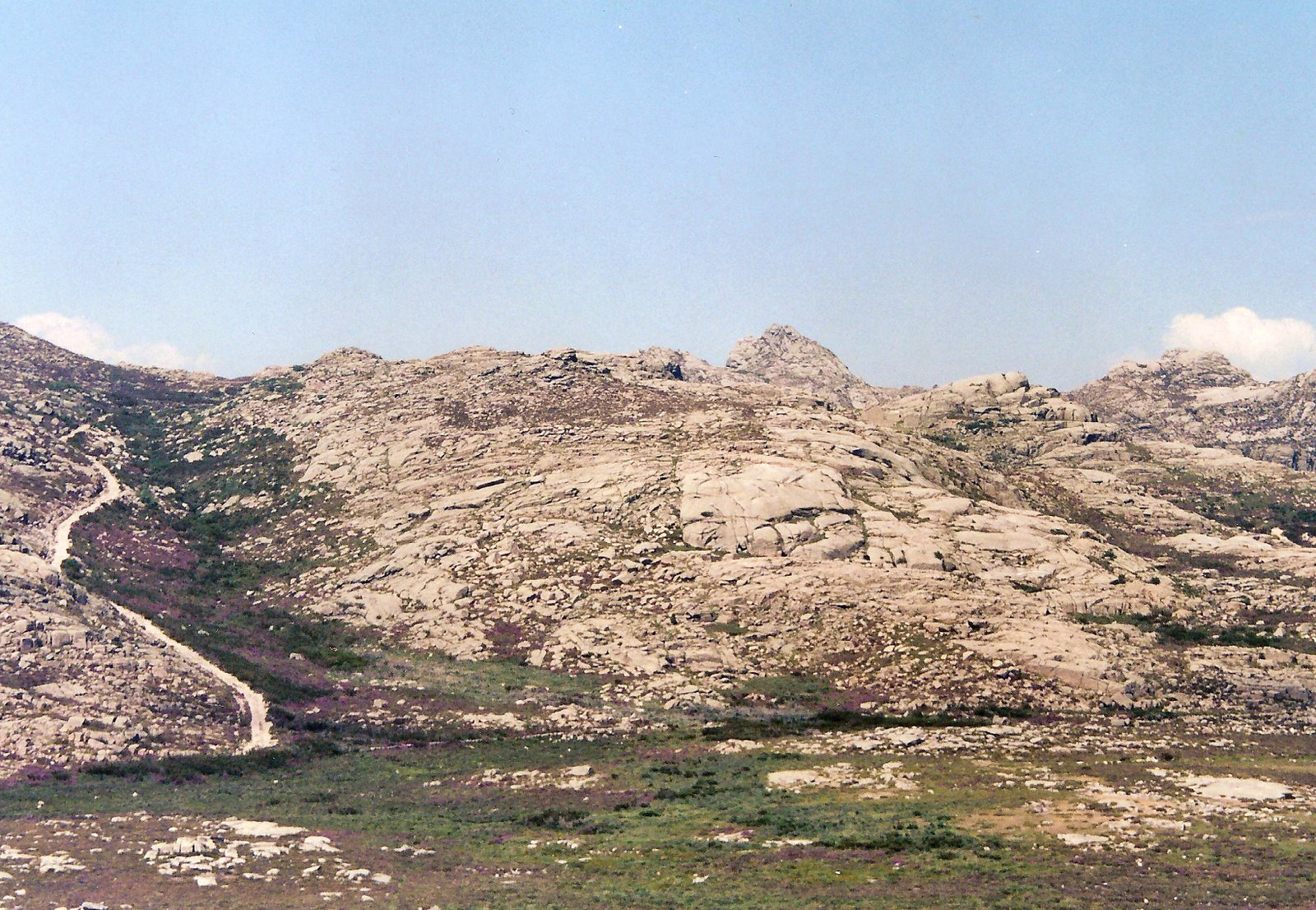 [Carris+22Jun2003+02.jpg]