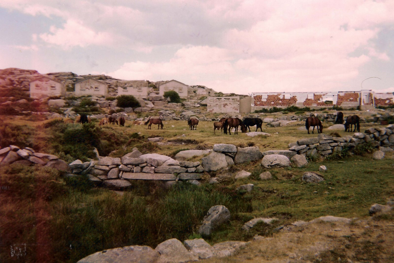 [Carris+12Ago93+06.jpg]