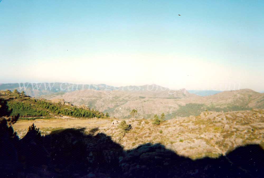 [Carris+14Ago94+01a.jpg]