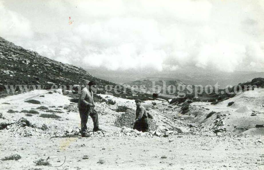 [Carris_02+blogue.jpg]