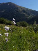 Independence Pass, CO