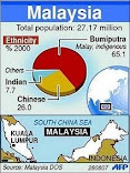 Malaysian population statistics