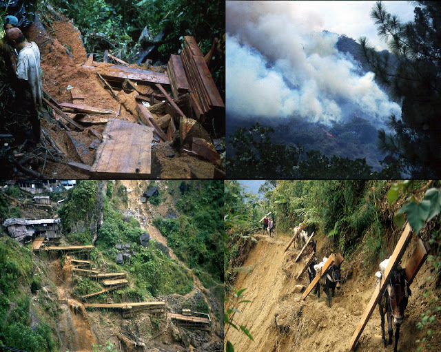 Diversidad Fotográfica: Problemas Ambientales en el Perú