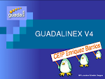 Curso  de Guadalinex V4.1