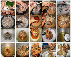 chicharon bulaklak happy cat procedure