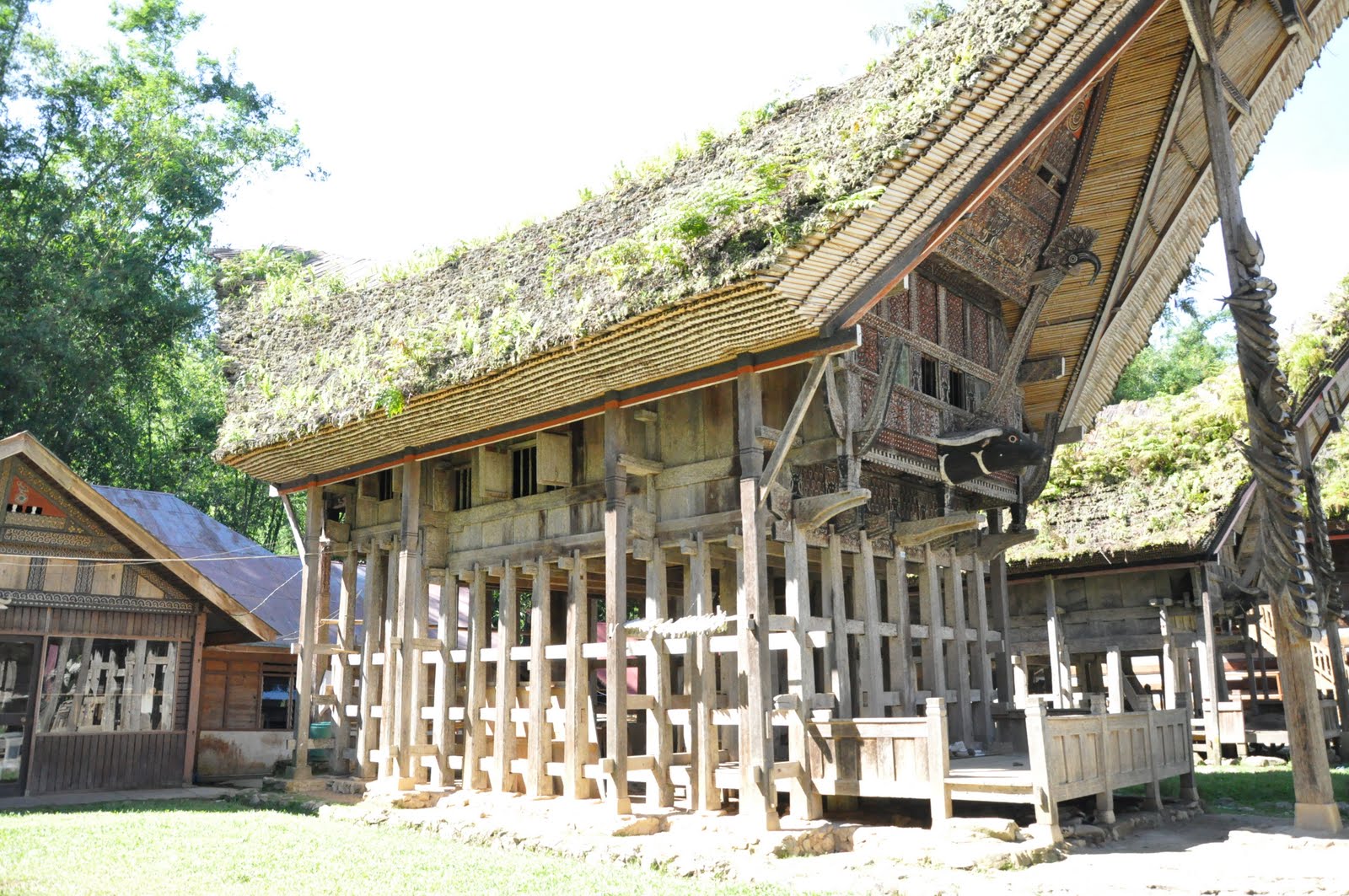 Jenis Rumah Adat Toraja - Rumah Oliv
