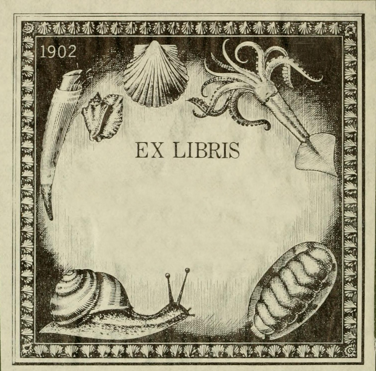 vintage-ephemera-ex-libris-mollusks-1902