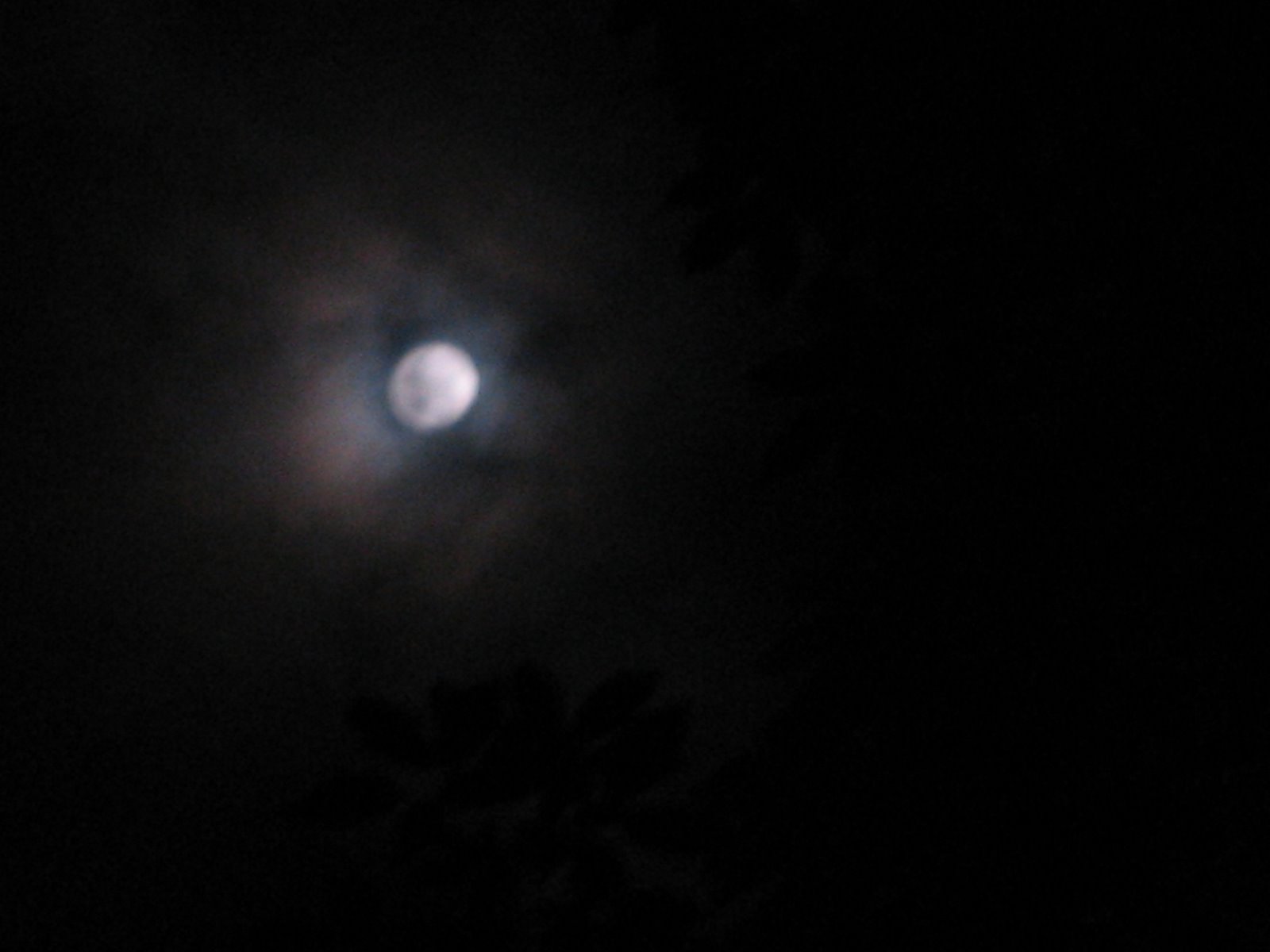 [Moon+Jan10+b+002.jpg]