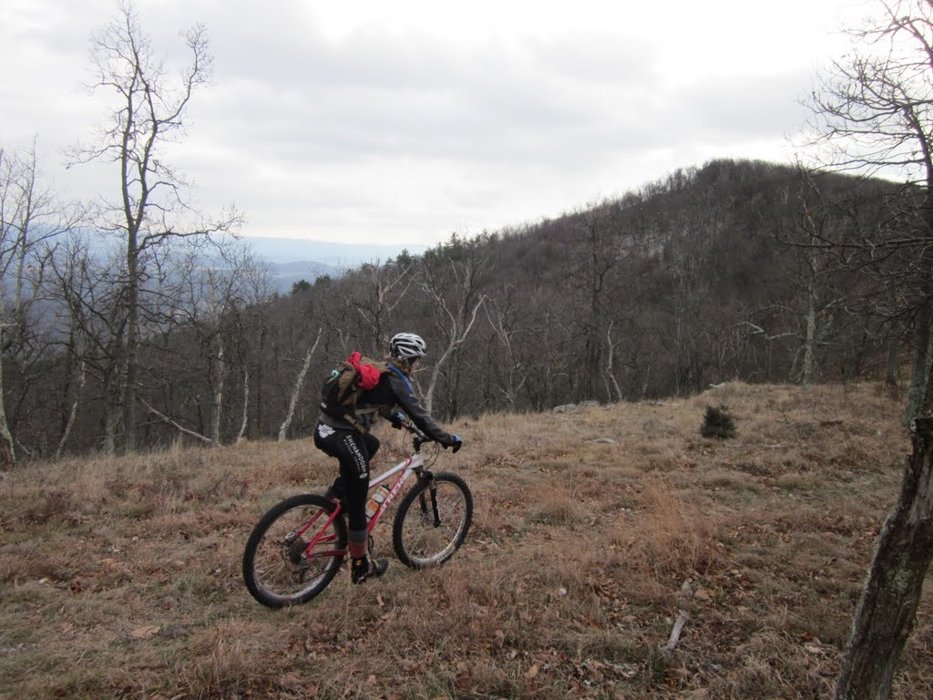 Shenandoah Mountain Touring Bicycle Virginia Amazing snow ride on