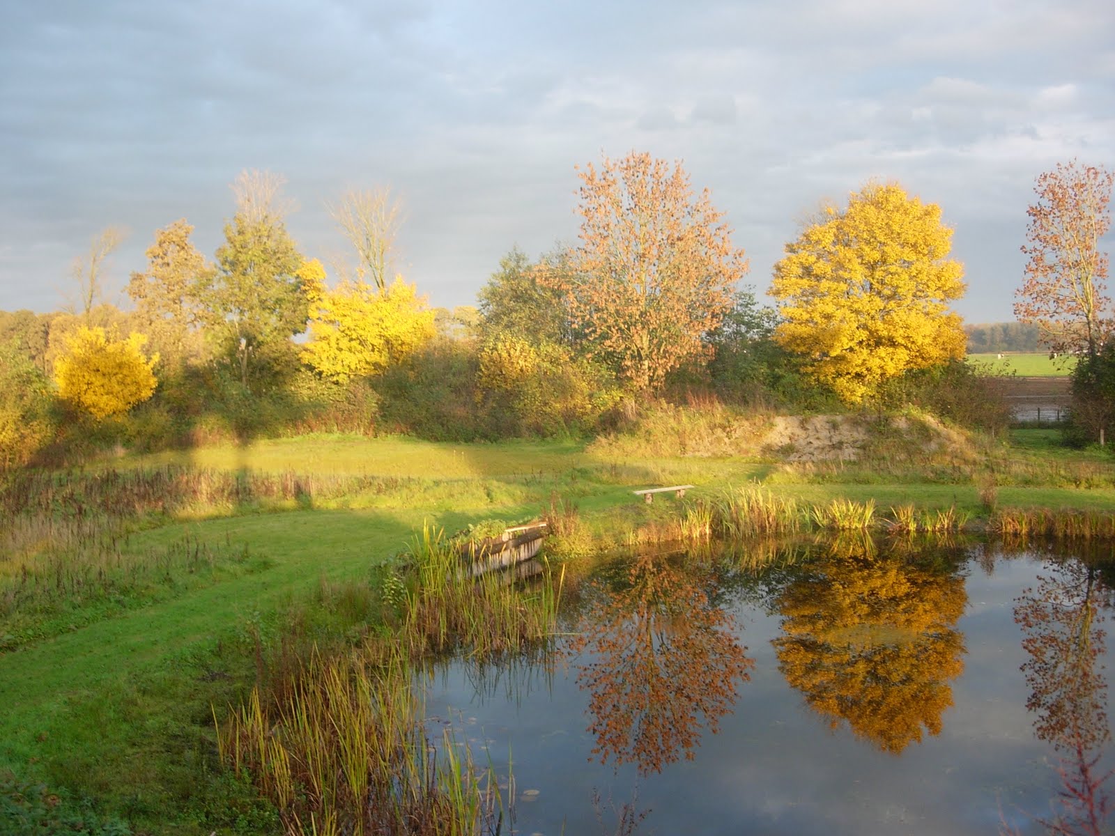 Snoeien annabelle hydrangea voorjaar Een mini-mini camping met zwemvijver: Herfst