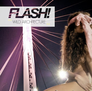 Flash! is a free photography book coming out every two months