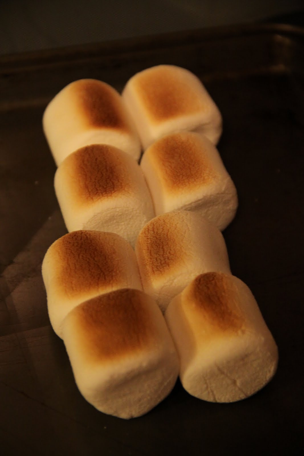 Let's Celebrate! Toasted Marshmallow Day