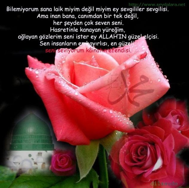 dinen cinsel ilişki dinen cinsel ilişki