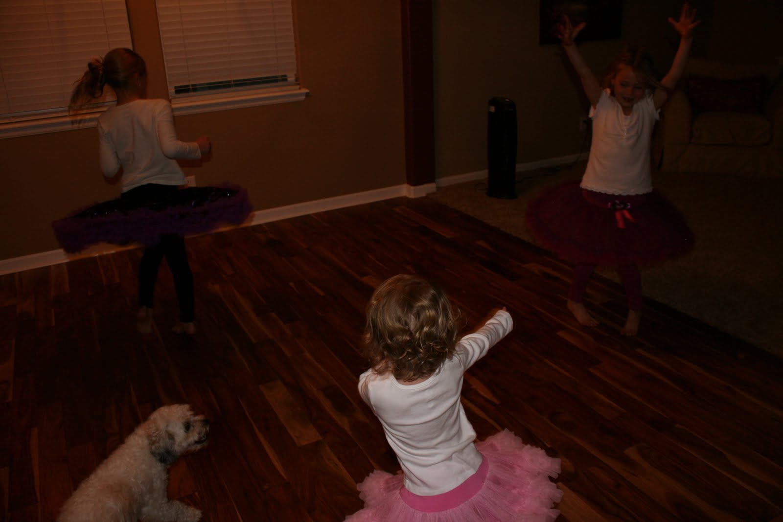 Egbert Family Blog Pictures