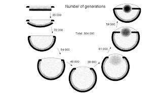https://2.bp.blogspot.com/_VKV21aZSnjc/R4gMTaaePgI/AAAAAAAAAIk/lPIe2Y0_s00/s320/evolution_of_eye.jpg